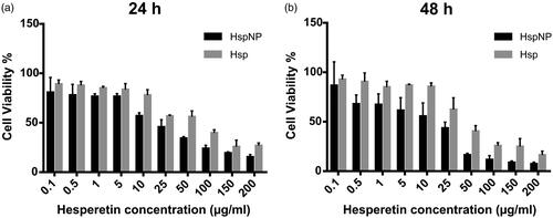 Figure 2. Cytotoxic effect of Hsp and HspNPs on C6 glioma cells as determined by MTT assay. Both 24 h (a) and 48 h (b) incubation of C6 glioma cells with Hsp and HspNPs resulted in significant dose and time dependent decrease in cell viability (24h incubation with Hsp and HspNP p = .038, p = .036; 48h incubation with Hsp and HspNP p = .036, p = .028 respectively). Data are shown as mean ± SD of three separate experiments (n = 3).