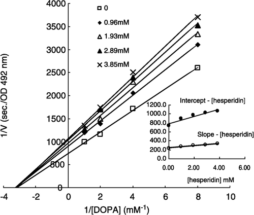 Figure 6 Lineweaver-Burk plots of hesperidin inhibition of diphenolase activity of tyrosinase with substrate, L-DOPA (0.125 mM, 0.25 mM, 0.5 mM, 1 mM). Five curves of five concentration of hesperidin are: 0, 0.96 mM, 1.93 mM, 2.89 mM and 3.85 mM, respectively. The inset is the secondary plots of the intercept versus concentration of inhibitor (hesperidin) and slope versus concentration of hesperidin.