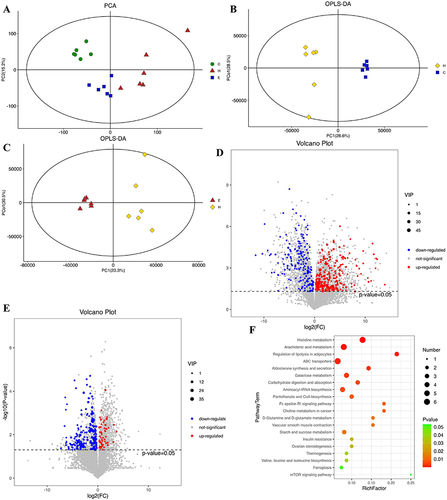 Figure 4 Effects of empagliflozin on liver metabonomics. (A) PCA score plot. (B) OPLS-DA score plot (HFD/NCD group). (C) OPLS-DA score plot (Empa/HFD group). (D) Volcano plot (HFD/NCD group). (E) Volcano plot (Empa/HFD group). (F) Top 20 KEGG enrichment pathway bubble maps.