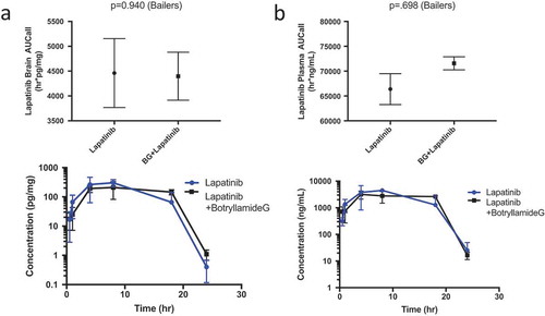 Figure 2. Lapatinib AUC in the brain of wild-type mice (n = 3 at each timepoint) when treated with lapatinib alone or in combination with botryllamide G (a) and exposure curve over 24 h. Lapatinib AUC in the plasma of wild-type mice (n = 3 at each timepoint) when treated with lapatinib alone or in combination with botryllamide G (b) and exposure curve over 24 h. Error bars represent mean standard deviation.