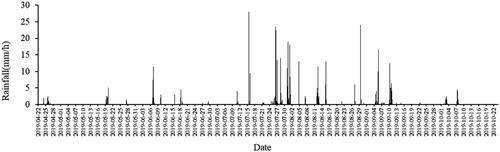 Figure 2. Hourly rainfall during the study period.