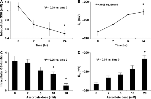 Figure 2. Ascorbate treatment induces oxidative stress. A. MIA PaCa-2 cells were treated with ascorbate (2 mM) for 0, 2, 6, and 24 h and intracellular GSH levels were measured. Ascorbate (2 mM) treatment decreases intracellular GSH. *P < 0.05 vs. the 0 time point, means ± SEM, n = 3. B. Ascorbate (2 mM) increases (more positive) the intracellular half-cell reduction potential (Ehc) of the intracellular GSSG/2GSH couple (intracellular redox buffer) of MIA PaCa-2 cells, a clear indication of increased intracellular oxidations. *P < 0.05 vs. the 0 time point, means ± SEM, n = 3. C. Intracellular GSH decreases with increasing concentrations of extracellular ascorbate (2 – 20 mM for 1 hour). *P < 0.05 vs. the 0 mM dose, means ± SEM, n = 3. D. The half-cell reduction potential of MIA PaCa-2 cells increases in a dose-dependent manner demonstrating ascorbate-induced oxidation. *P < 0.05 vs. the 0 mM dose, means ± SEM, n = 3.
