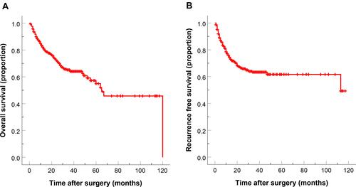 Figure 2 Kaplan–Meier cumulative overall survival (A) and recurrence-free survival (B) curves of the study population.