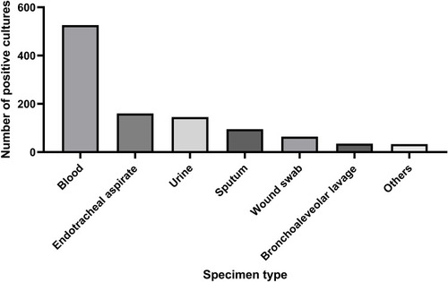 Figure 2 Distribution of specimen sources for positive cultures.