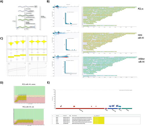 Figure 1. Nanopore-based sequencing bulk transcriptome profiles of hsa-miR-141 mimic and hsa-miR-141 inhibitor transfected ATCC PC3 cells line, compared to intact PC3 cells transcriptome. (A) Library generation strategy, using ligation sequencing kit 1D (LSK108). (B) Quality score vs. base reads. Inset: Long-read counts distribution across experiments. Right: Corresponding reads mapped across GRCh38 human reference genome by SeqMonk. Differential expression analysis was done within SeqMonk. (C) Violin and bar-chart plots of reads distribution within experimental condition(s), before and after normalization in SeqMonk. (D) FastQC reads qualification. (E). G:profiler (g:GOSt) gene set enrichment analysis of SeqMonk differential expression data with pathway enrichments using reactome database.
