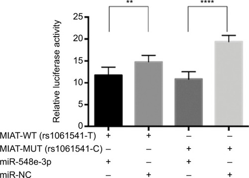 Figure 4 The results of luciferase reporter gene assay between miR-548e-3p and MIAT.Notes: The effect of rs1061541 on MIAT interaction with miR-548e-3p. Relative reporter gene activity from constructs bearing an MIAT fragment with the rs1061541-T or rs1061541-C allele in the A549 cell lines. “+” means co-transfected with MIAT-WT (rs1061541-T) or MIAT-MUT (rs1061541-C) with miRNA mimics in A549. Both MIAT rs1061541-T and rs1061541-C co-transfected with miR-548e-3p mimics showed less luciferase activity compared with NC controls, respectively. Renilla luciferase/firefly luciferase was calculated and normalized to NC controls as relative luciferase activity. Results are shown as mean ± SD from three times repeated transfection experiments, each with six replicates. **P < 0.01; ****P < 0.0001.Abbreviations: NC, negative control; MIAT, myocardial infarction-associated transcript; MUT, mutation; WT, wild type.