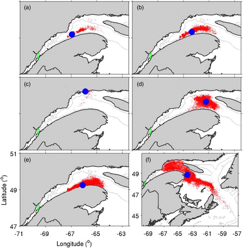 Fig. 12 Distributions of particles after 60 days in (a) experiment H1 (when outside the SLE, particles search for surrounding model grid points with deeper water every hour during the day and swim towards it if one is found; otherwise, they swim in random directions); (b) experiment H2 (similar to H1 but searching for deeper water every other hour during the day); (c) experiment S1 (when outside the SLE, particles search for surrounding model grid points with higher salinity every hour during the night and swim towards it if one is found; otherwise, they swim in random directions); (d) experiment S2 (similar to S1 but searching for higher salinity every four hours during the night); and (e) experiment W1 (particles swim in random directions during all hours when outside the SLE). (f) Distribution of particles after 120 days in experiment W1.