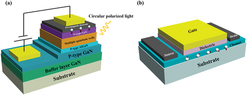 Figure 13. (a) The schematic of Spin-LEDs based on GaN. The ferromagnetic electrode injects the spin polarized carriers into the N-type GaN. Then the polarized electrons recombine with the holes in multiple quantum wells to emit circular polarized light. The P-type AlGaN layer is used as an electron-blocking layer. (b) The schematic of Datta-Das type SFET. The source and drain are both ferromagnetic electrodes (such as Co, Fe, diluted magnetic semiconductors, etc.) for the purpose of injecting and detecting the spin polarized carriers, respectively. The spin orientation can be controlled by the gate electric field instead of the external magnetic field.