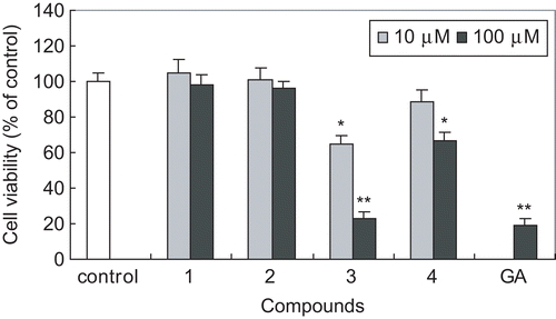 Figure 3.  Effect of triterpenoids isolated from E. japonica on cell viability of HSC-T6 cells. HSC-T6 cells were incubated with compounds at the concentration of 10 or 100 μM for 48 h. GA (β-glycyrrhetinic acid) was used as a positive control. Cell viability was measured by the MTT assay. The percent of cell viability (%) was calculated as 100 × (absorbance of compound-treated/absorbance of control). Results are expressed as the mean ± SD of three independent experiments, each performed using triplicate wells. *p < 0.05, **p < 0.001 compared with control.