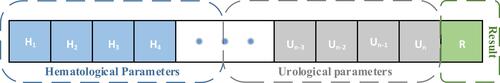 Figure 5 Schematic diagram of the original data format (represents a value of a hematological test, represents a value of a Urological test, result is diagnostic results from doctors).