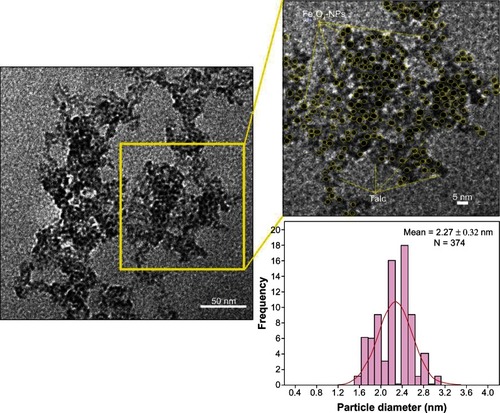 Figure 3 Transmission electron microscopy image and histogram of particle size distribution for talc/magnetite nanocomposites.