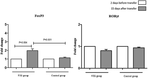 Figure 2. mRNA expression level of Foxp3 and RORγt in IVIG-treated and control groups. According to real-time PCR results, IVIG therapy causes the mRNA expression level of Foxp3 to increase significantly (P value = 0.0004) 15 days after embryo transfer, but there was a decrease in RORγt mRNA expression level in this period (p value = 0.0218) (p ≤ 0.05: statistically significant). There were almost no significant differences in the results of the control group. IVIG group n=40, control group n=32. Foxp3: forkhead box protein3; RORγt: RAR-related orphan receptor gamma; IVIG: intravenous immunoglobulin.