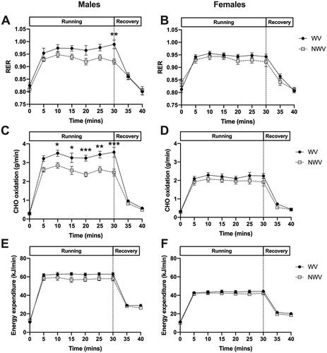 Figure 3. Energy expenditure and substrate utilisation in males and females during weighted vest running. The addition of a weighted vest promoted a significant increase in RER in males (A, p < 0.001) but not females (B, p > 0.05). This was associated with a shift towards greater CHO oxidation in males (C, p < 0.001) and females (D, p < 0.01) and an increase in energy expenditure in males (E, p < 0.001) and females (F, p < 0.05). *p < 0.05; **p < 0.01; ***p < 0.001 WV vs. NWV.