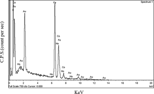 Figure 6. The EDS pattern of the sample CoFe1.975Ho0.025O4 annealed at 600°C. Au (gold) peaks are due to thin coating on the sample.