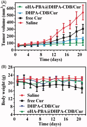 Figure 12. Tumor suppression effect of different Cur preparation in vivo based on PANC-1-bearing mice model. Variation of tumor volume (A) and body weight (B) in 21 days.