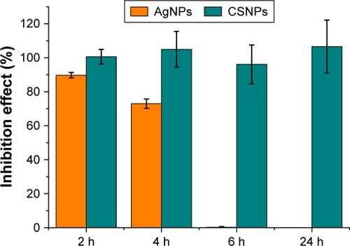 Figure 4 Long-term antibacterial activity of nanoparticles.Note: AgNPs and CSNPs (0.054 ng/mL silver content) were incubated with E. coli MG1665 for 2, 4, 6, and 24 h.Abbreviations: AgNPs, silver nanoparticles; CSNPs, colloidal silver nanoparticles; E. coli, Escherichia coli.