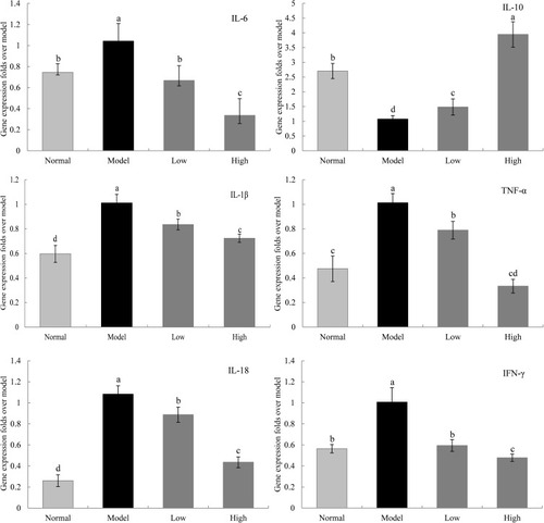 Figure 7 The IL-6, IL-10, IL-1β, TNF-α, IL-18 and IFN-γ mRNA expression in liver of mice. Model: mice treated with D-Gal (30 mg/kg·bw)/LPS (3 μg/kg·bw); Low: mice treated with WTSNF (150 mg/kg); High: mice treated with WTSNF (300 mg/kg). a–dMean values with different letters in the same bar graph are significantly different (p<0.05) according to Duncan’s multiple range test.