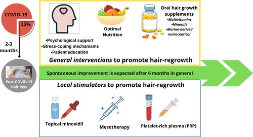 Figure 1 Schematic representation of the complementary strategies that can help reduce post-COVID-19 hair loss and promote hair re-growth.