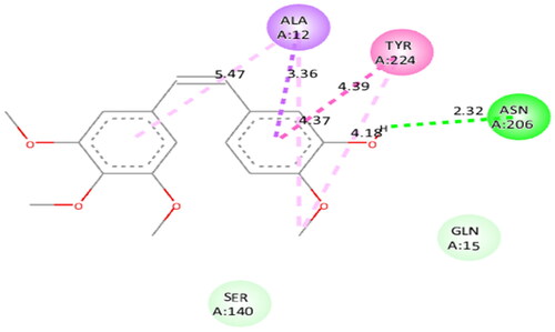 Figure 21. Docked pose showing binding interactions of combretastatin A4 with tubulin.