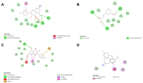 Figure 4 2D interaction between polyphenol ligands and Acetylcholine esterase (AchE): (A) Kaempferol, (B) m-coumaric acid (C) Quercetin and (D) Galantamine (Standard) in HPLC analysis of a methanolic extract of Aj.Cr.