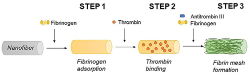 Scheme 1 Coating procedure.