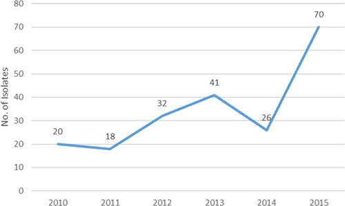 Figure 1 The isolation numbers of Escherichia coli causing bloodstream infections according to the year.