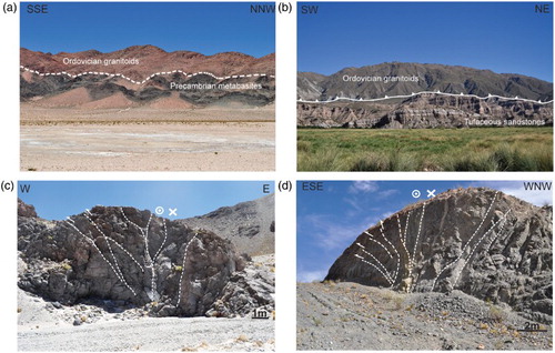 Figure 3. (a) Lithological contact between Precambrian metabasites and Ordovician granitoid rocks; (b) Ordovician granitoid rocks overthrusting Tuffaceous sandstones (El Cajon formation) in the SE sector of the study area; (c) Positive flower structure in basaltic lava flows of the Vicuña Pampa volcanic complex; (d) Positive flower structure in Precambrian orthogneiss.