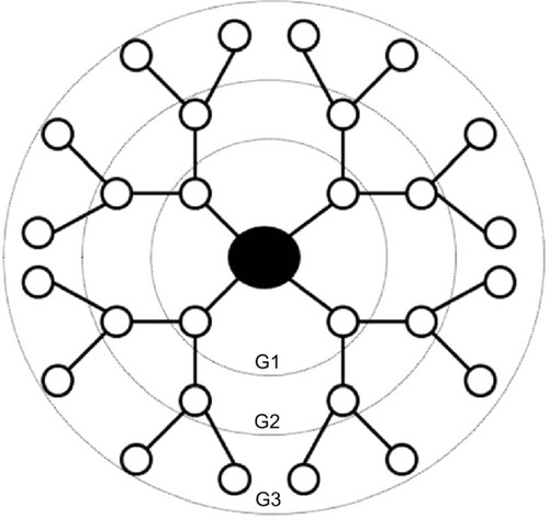 Figure 1 Generation (G) 3 dendrimer architecture.Note: Dendrimers consist of core, interior branching, and terminal functional groups.