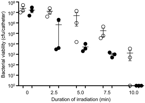 Figure 7. Killing of biofilm-associated S. aureus with AuNC@Dap/PDA-aLpp. Biofilms were allowed to form on catheters before being placed into 500 μl of BFM containing 0.4 nM AuNC@Dap/PDA-aLpp. Control catheters were not irradiated (0 min), while test catheters were irradiated for the indicated period of time. The number of viable bacterial cells was then determined at 0 h (open circles, PT effect) and after an additional 24 h incubation (filled circles, antibiotic effect).