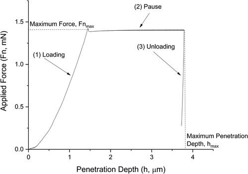 Figure 1. A typical force-penetration depth curve illustrating the three segments of indentation carried out during this study: (1) loading, (2) pause, and (3) unloading. The contact stiffness (S) of the material can be extrapolated from the slope of the unloading curve.