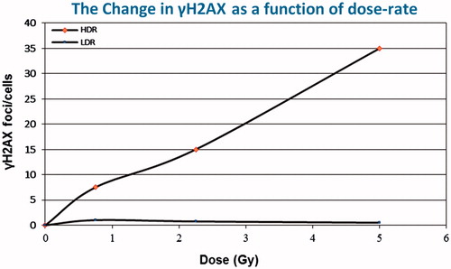 Figure 3. The influence of dose rate on the induction of γH2AX. This marker of DNA damage and repair is very sensitive to changes in dose rate. Comparing the slopes of the lines a DREF of about 30 can be calculated.