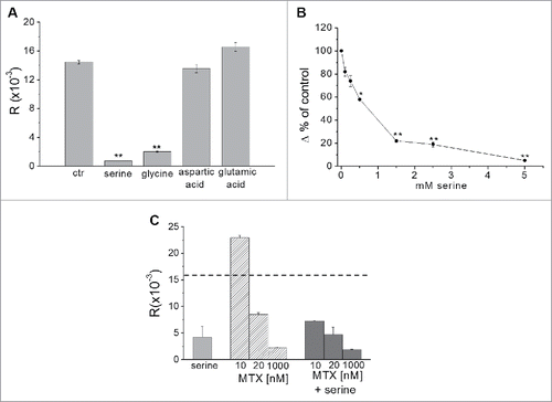 Figure 3. Effects of aminoacids involved in folate metabolism on AH130 cell recruitment to S. R values (DPM 14C-thymidine incorporated per 106 viable cells in the interval 16.5–18 h of incubation) were determined in the presence or the absence of aminoacids and/or MTX added at time 0. (A) Effects of 5mM serine, glycine, aspartic acid or glutamic acid (ctr: untreated control). (B) Effects of different serine concentrations; values are expressed as Δ% of untreated control (0). (C) Effects of 2.5mM serine (light gray), MTX (hatched) or serine plus MTX (dark gray); untreated control: dashed line. Values are means ± SEM of 3 independent experiments. Significance of differences was evaluated by the Student's t test for paired samples (*p < 0.05; **p < 0.02).