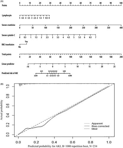 Figure 2. (A) Nomogram of the constructed logistic model for predicting AKI in included TBI patients. The nomogram consisted of four variables including lymphocyte, serum creatinine, serum cystatin C and records of RBC transfusion. Based on the sum of corresponding points of each variable, total points could be calculated and therefore evaluated the risk of AKI. (B) Calibration plot for predicting AKI in included TBI patients.