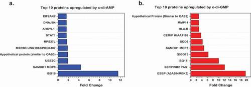 Figure 4. Top 10 proteins upregulated by c-di-AMP or c-di-GMP. (A) Top 10 statistically significant proteins with a measurable fold change, which are upregulated (blue bars) by c-di-AMP. (B) Top 10 statistically significant proteins with a measurable fold change, which are upregulated (red bars) by c-di-GMP. Charts were plotted using the Origin (Pro), Version 2020 software (OriginLab Corporation, Northampton, MA).