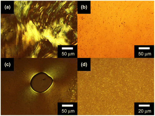 Figure 6. POM images of CCPTO. Images were taken in the same area under (a) crossed nicol and (b) open nicol at 240 °C. (c) Schlieren-like texture around an air bubble under crossed nicol at 200 °C. (d) Droplets texture during transition between isotropic phase and liquid crystalline phase under crossed nicol at 210 °C.