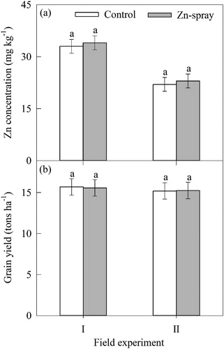 Figure 7. Effect of Zn-chelate and water spray on (a) Fe concentration (mg kg−1), and (b) grain yield of maize plants grown under field condition.