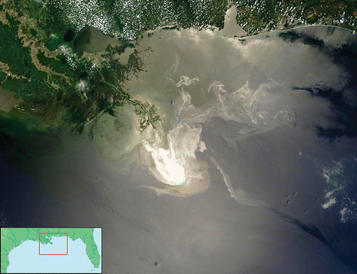 FIGURE 2: The oil slick produced by the Deepwater Horizon incident is seen here on 24 May 2010. (Image courtesy of Michon Scott, National Aeronautics and Space Administration's Earth Observatory.)