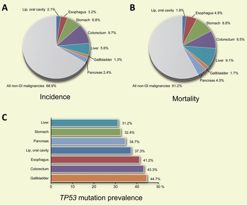 Figure 1 Incidence (A) and mortality (B) of indicated gastrointestinal (GI) cancers worldwide. (C) Prevalence of mutations in the TP53 gene in the indicated GI cancers.