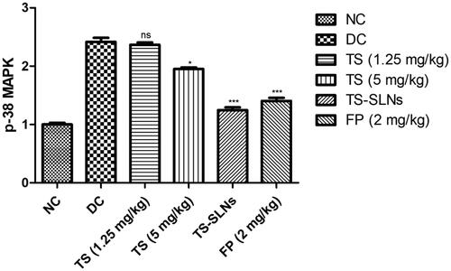 Figure 11. Exhibited the level of p-38 MAPK parameter in the normal and experimental group during the 8 weeks. Data are presented as the mean ± SD, *p < .05, **p < .01 and ***p < .001.