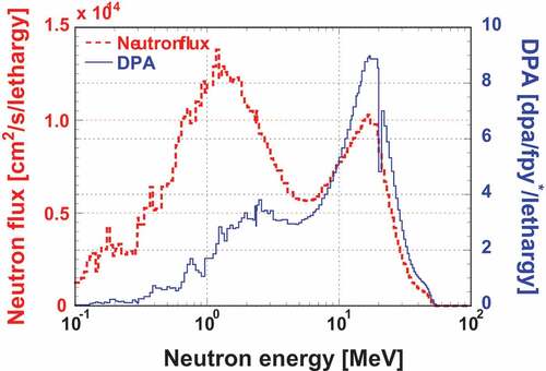 Figure 2. Calculated neutron and DPA spectra for iron in A-FNS (*fpy: full power year)