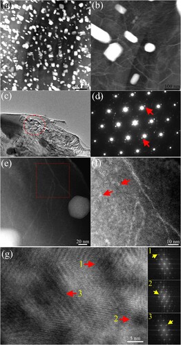 Figure 4. TEM images for the E + R+A alloy: (a) HAADF image of the microstructure containing the high-density dynamical precipitates; (b) HAADF image of the magnified microstructure containing more dislocation boundaries; (c) microstructure containing dynamical precipitates and the matrix; (d) the diffraction pattern corresponding to the matrix region indicated by the red circle in c, and an electron beam parallel to the [0001]Mg is used; (e) HAADF image of the magnified microstructure at the red circle region in (c); (f) the magnified matrixmicrostructure at the red rectangle region in (e); (g) HRTEM image for the matrix containing the several-nanometer clusters and correspond to FFT.