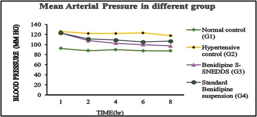 Figure 12. Mean arterial pressure in normal control, hypertensive control, and hypertension treated with BD-S-SNEDDS and pure BD suspension.