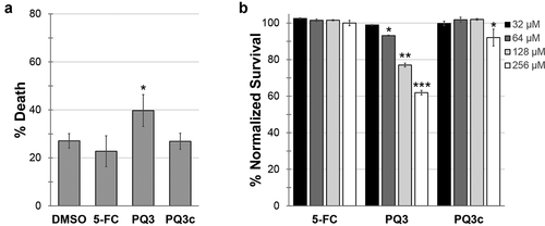 Figure 3. Toxicity of pyoverdine inhibitors to C. elegans and human cells. (a) Long-term (10 days) C. elegans survival in the presence of PQ3, PQ3c, 5-FC, or DMSO. (b) 16HBE cell survival was measure using alamarBlue dye after 24 h exposure to PQ3, PQ3c, 5-FC, or DMSO at specified concentration. All values are normalized to DMSO controls. At least three independent biological replicates were performed. For each replicate, at least four wells with ~20 worms/well (a) or at least 6 wells with cells at ~90% confluency (b). Statistical significance was determined using Student’s t-test.
