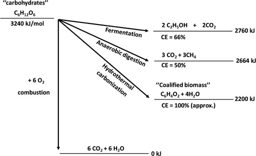 Figure 14. Comparison of different ‘renewable energy pathways’ and carbon transfer schemes from carbohydrates. Here, preservation of combustion energy and the ‘carbon efficiency’ of the transformation (CE) are compared. The ‘sum formula’ of the coalified plant material is a schematic simplification (Adopted from reference (Citation32) with permission from The Royal Society of Chemistry).