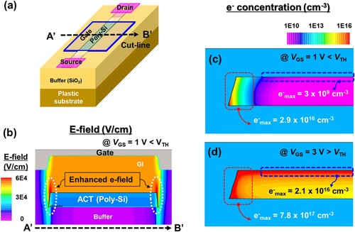 Figure 4. Simulated physical properties along a 1D cut-line (A’ to B’) of (a) the 3D simulation structure for LTPS TFTs at VDS = 0.1 V, (b) the e-field distribution at VGS = 1, and the electron concentration distribution within the active layer at VGS = (c) 1 V and (d) 3 V.