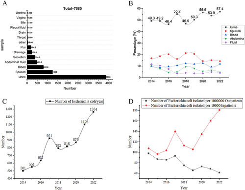 Figure 2 Clinical distribution characteristics of E. coli. (A and B) Sample distribution characteristics. (C and D) Number of strains isolated/year.