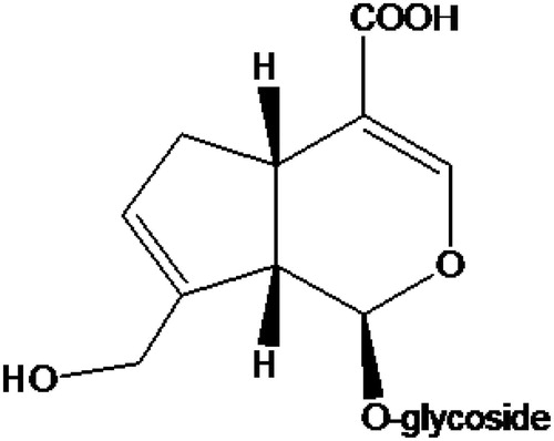 Figure 1. The chemical structure of geniposidic acid.
