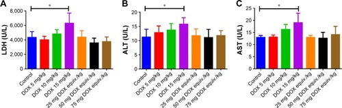 Figure 8 (A–C) Blood biochemical parameters LDH, ALT and AST and (D) pathological studies of heart, liver, spleen, lung and kidney in various drug formulations treated mice. Bar, 250 μm. Data are presented as the mean ± SD (n = 6, DOX 15 mg/kg, n = 5, *p < 0.05).Notes: The blue arrows and yellow arrows indicate the sites of cardiac injury and hepatic damage, respectively. The orange boxes represent the areas to be enlarged.Abbreviations: LDH, lactate dehydrogenase; ALT, alanine transaminase; AST, aspartate transaminase; DOX, doxorubicin.