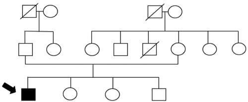 Figure 1. Family tree.