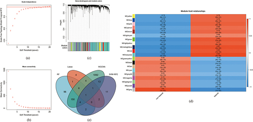 Figure 4 Results of screening of critical signatures using WGCNA. (a and b) Analysis of network topology for various soft-powers. By setting threshold = 0.9, soft-power = 17 was selected as the best parameter. (c and d) DEGs associated with psoriasis in a Clustering dendrogram, with differences based on topological overlap and given module colors (c). Module-trait relationships (d). Each module is represented by a row and each trait by a column. The matching correlation and p-value are included in each cell. According to the color legend, the table is color-coded based on association. (e) Venn diagrams showing the intersection of critical signatures obtained from these four machine learning algorithms.